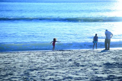 DSC_1197 (Large).JPG